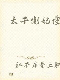 太子侧妃傻乎乎