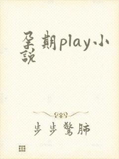 孕期play小说