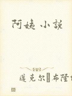阿姨 小说
