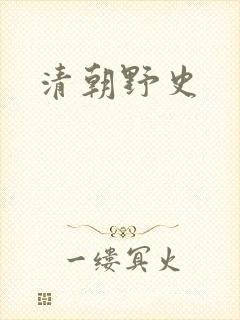 清朝野史