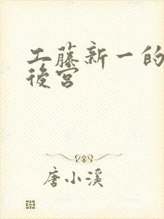 工藤新一的日本后宫