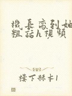 机长脔到她哭h粗话h视频