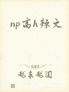 np高h辣文