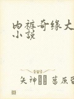 内裤奇缘大团结小说