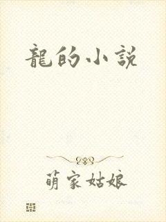 龙的小说