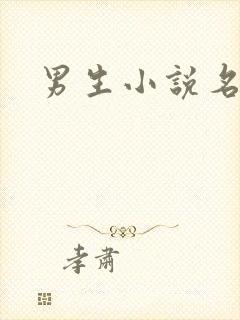男生小说名字