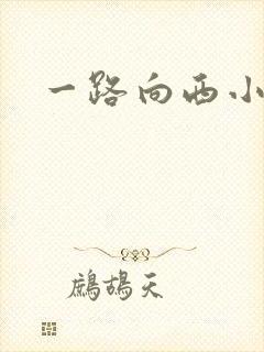 一路向西小说