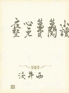 夜心万万小说完整免费阅读全文