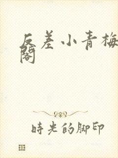 反差小青梅笔趣阁