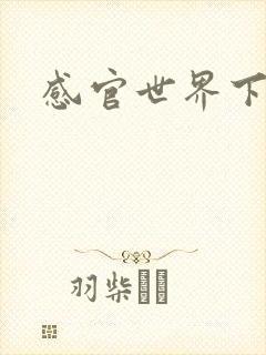 感官世界下载