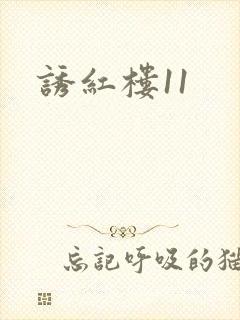诱红楼11