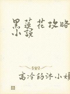 黑莲花攻略手册小说