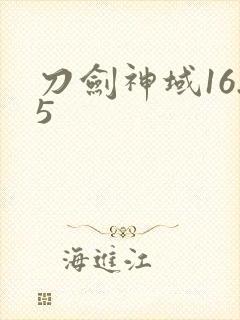 刀剑神域16.5