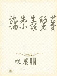 沈先生的花式调酒小说免费阅读