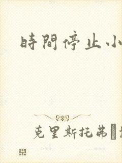 时间停止小说