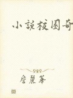 小说校园奇侠