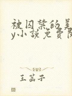 被囚禁的美人by小说免费阅读