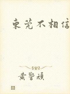 东莞不相信眼泪