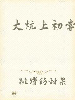 大炕上初尝云雨