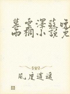 慕云泽苏晚晴夏雨桐小说免费阅读