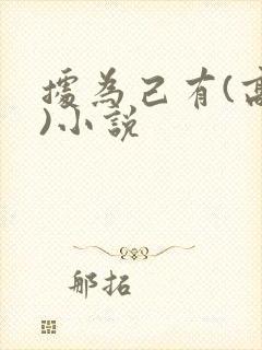 据为己有(高干)小说