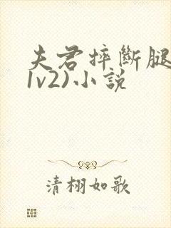 夫君摔断腿后(1v2)小说