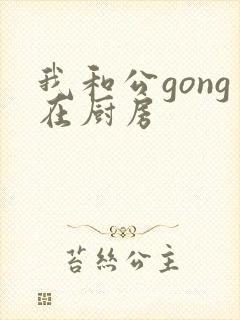 我和公gong在厨房