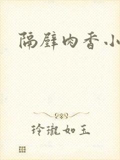 隔壁肉香小说