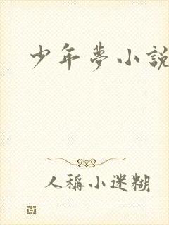少年梦小说