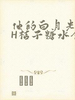 他的白月光HVH桔子糖水全文