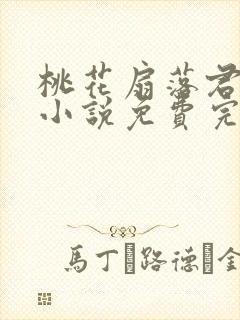 桃花扇落君不还小说免费完整版