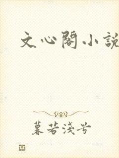文心阁小说