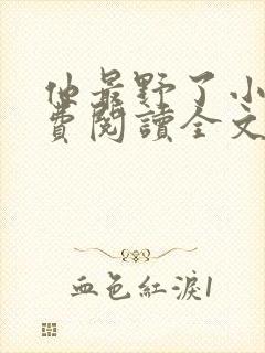 他最野了小说免费阅读全文