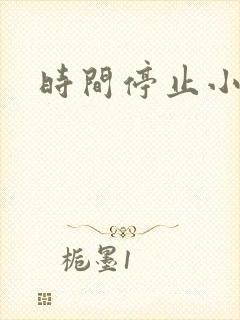 时间停止小说