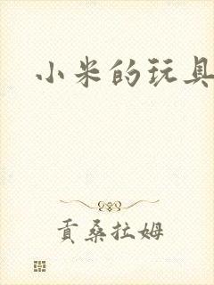 小米的玩具日记