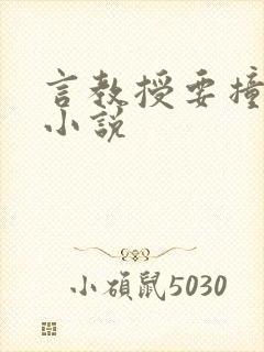 言教授要撞坏了小说