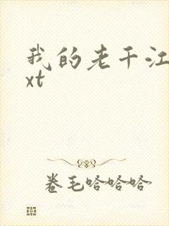 我的老千江湖txt