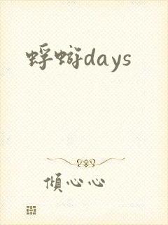 蜉蝣days