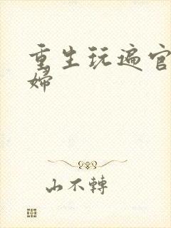 重生玩遍官场贵妇