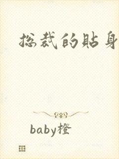 总裁的贴身女佣