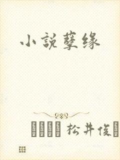 小说孽缘