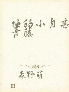 他的小月亮by青藤