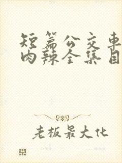 短篇公交车高h肉辣全集目录