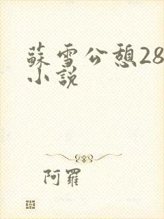 苏雪公憩28篇小说