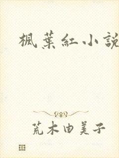 枫叶红小说