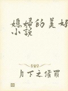 媳妇的美好时代小说