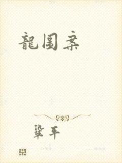 龙图案