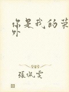 你是我的荣耀番外