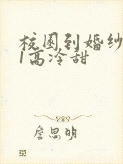 校园到婚纱1V1高冷甜