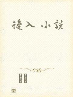 后入 小说